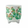 Top 10 🤩 Royal Botanic Garden Victoria Arid Garden Planter Pot 14cm Prickly Pear 🔔