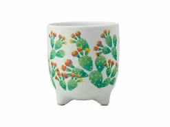 Top 10 π€© Royal Botanic Garden Victoria Arid Garden Planter Pot 14cm Prickly Pear π