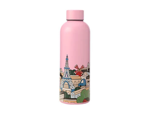 Cheap π― Megan McKean Cities Double Wall Insulated Bottle 500ML Paris π§¨