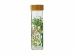 Best reviews of 👍 Royal Botanic Garden Victoria Arid Garden Glass Water Bottle 550ML Dracaena ⭐
