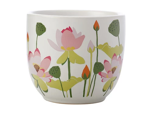 Best Pirce ๐ Royal Botanic Gardens Victoria Lotus Planter Pot 12cm White ๐