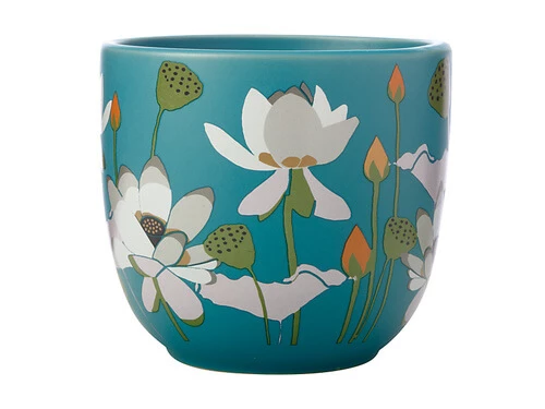 Buy ๐ Royal Botanic Gardens Victoria Lotus Planter Pot 14cm Aqua ๐ฅฐ