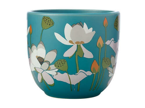Buy ๐ Royal Botanic Gardens Victoria Lotus Planter Pot 14cm Aqua ๐ฅฐ - Image 3