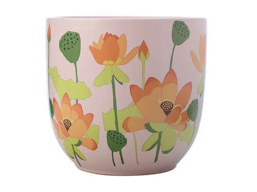 Hot Sale ๐ฏ Royal Botanic Gardens Victoria Lotus Planter Pot 16cm Pink ๐คฉ - Image 3