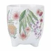 Brand new 🤩 Royal Botanic Gardens Victoria Native Blooms Plant Pot 12cm 💯