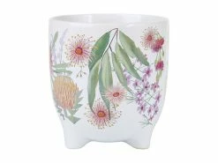 Brand new 🤩 Royal Botanic Gardens Victoria Native Blooms Plant Pot 12cm 💯