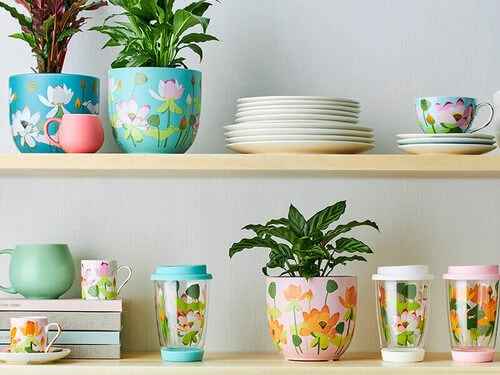 New ๐ Royal Botanic Gardens Victoria Lotus Planter Pot 16cm Mint ๐ฅฐ - Image 2